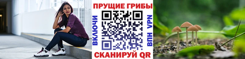 Псилоцибиновые грибы Psilocybe Волжск