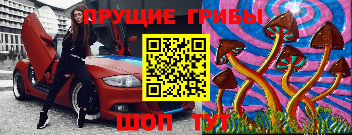 Псилоцибиновые грибы Psilocybine cubensis Волжск