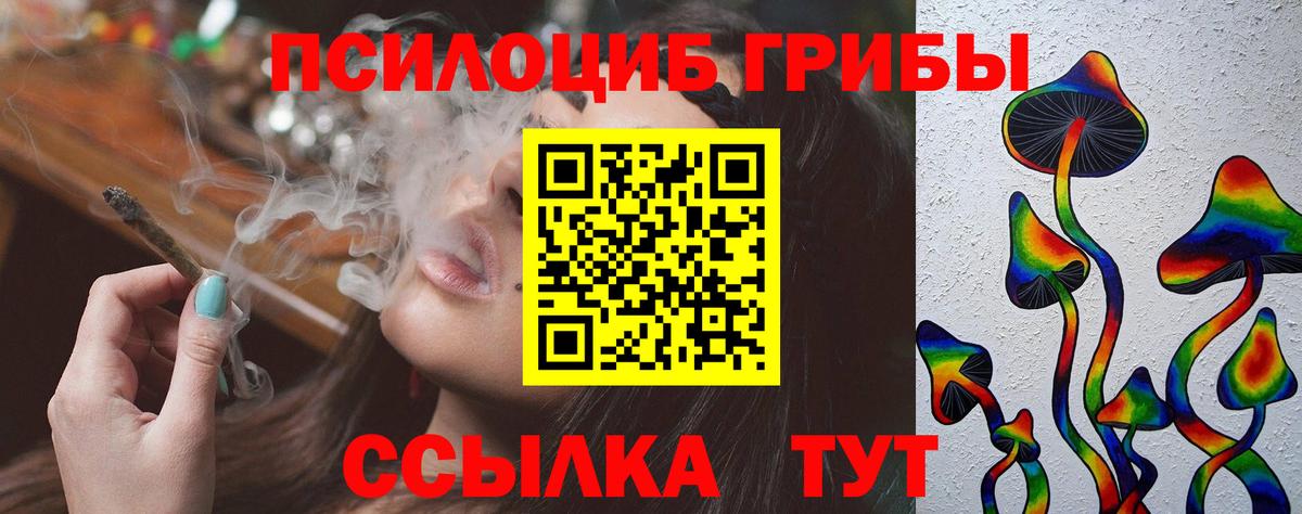 Псилоцибиновые грибы GOLDEN TEACHER  Волжск 