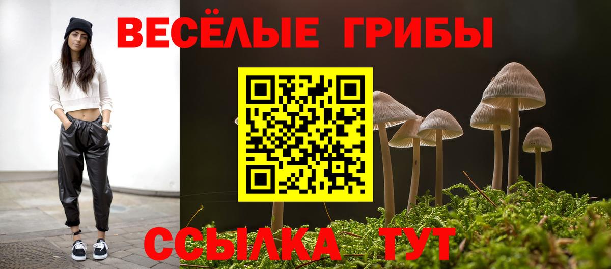 Волжск  Псилоцибиновые грибы MAGIC MUSHROOMS  Вход с VPN  наркота  Галлюциногенные грибы Psilocybine cubensis 
