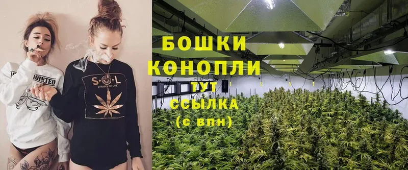 дарнет шоп  Волжск  Канабис OG Kush 